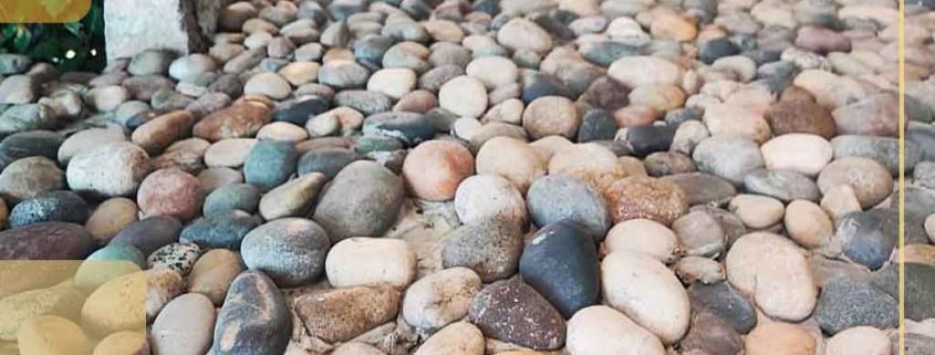 tarhyno port 403 10 01